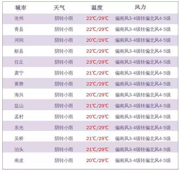 滄州公租房最新消息全面解讀，滄州公租房最新動(dòng)態(tài)全面解析