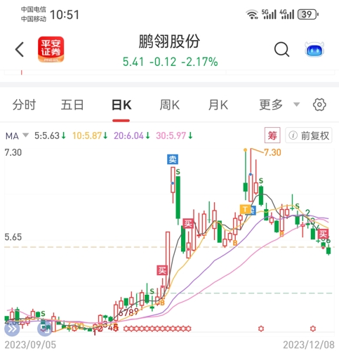 鵬翎股份最新消息全面解讀，鵬翎股份最新消息全面解讀與分析