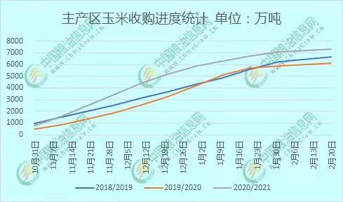 全國玉米價格