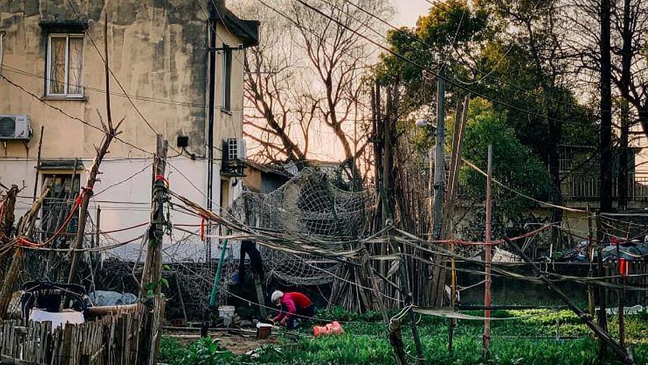 上海最新拆遷動態(tài)，變化中的城市面貌與居民生活，上海拆遷最新動態(tài)，城市面貌與居民生活的變遷