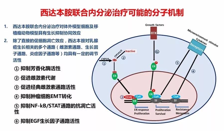 西達本胺最新消息，研發(fā)進展、應(yīng)用前景及市場趨勢分析，西達本胺最新研發(fā)進展、應(yīng)用前景與市場需求分析，最新消息和市場趨勢探討