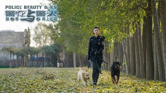 警花與警犬2最新消息，熱血回歸，人與犬的正義新篇章，警花與警犬2熱血回歸，人與犬的正義新篇章最新消息