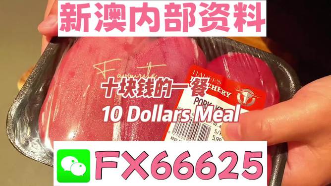 關(guān)于新澳全年免費(fèi)資料大全的警示與探討，新澳全年免費(fèi)資料大全，警示與探討