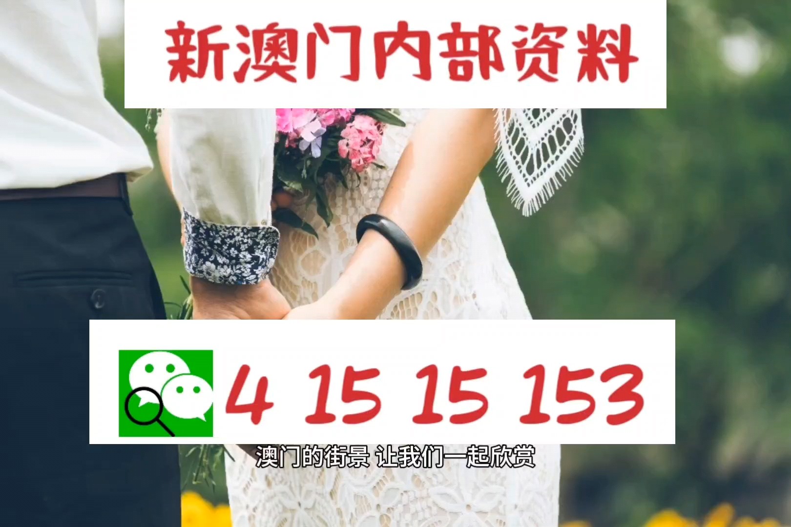 澳門正版資料免費大全新聞——警惕違法犯罪風險，澳門正版資料免費大全新聞需警惕潛在違法犯罪風險