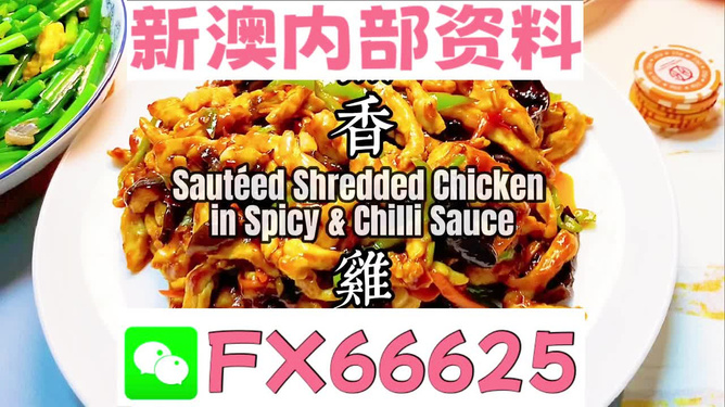 新奧天天精準資料大全，探索與解析，新奧天天精準資料大全，深度探索與全面解析