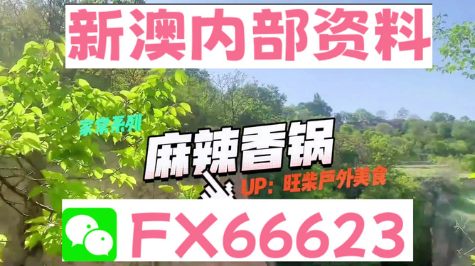 新澳準(zhǔn)資料免費提供背后的犯罪問題探討，新澳準(zhǔn)資料免費提供背后的犯罪問題深度探討