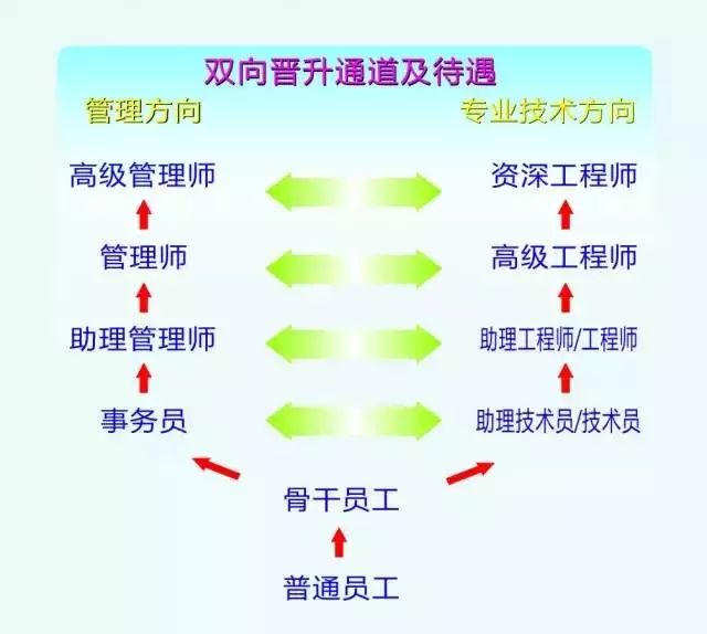 立訊精密最新招聘信息概覽，立訊精密最新招聘信息全面解析