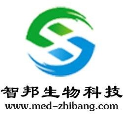 武漢維新智云科技有限公司，引領(lǐng)科技前沿，塑造數(shù)字未來(lái)，武漢維新智云科技，引領(lǐng)數(shù)字未來(lái)，科技前沿領(lǐng)航者