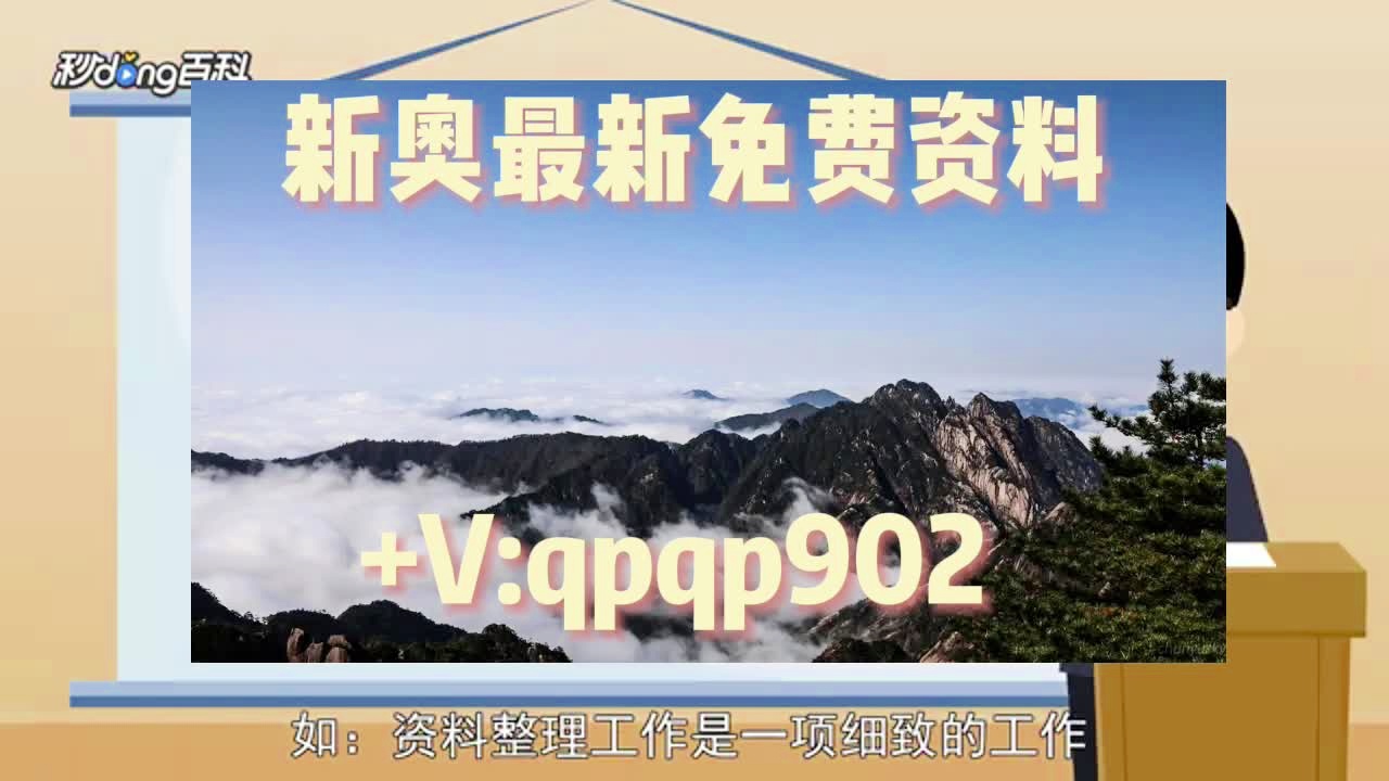 新奧2024年免費(fèi)資料大全詳解，新奧2024年免費(fèi)資料大全全面解析