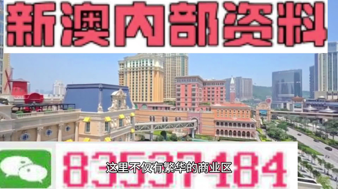 關于新澳新澳門正版資料的探討與警示——一個關于違法犯罪問題的探討，關于新澳新澳門正版資料的探討與警示，揭示違法犯罪風險及應對之道