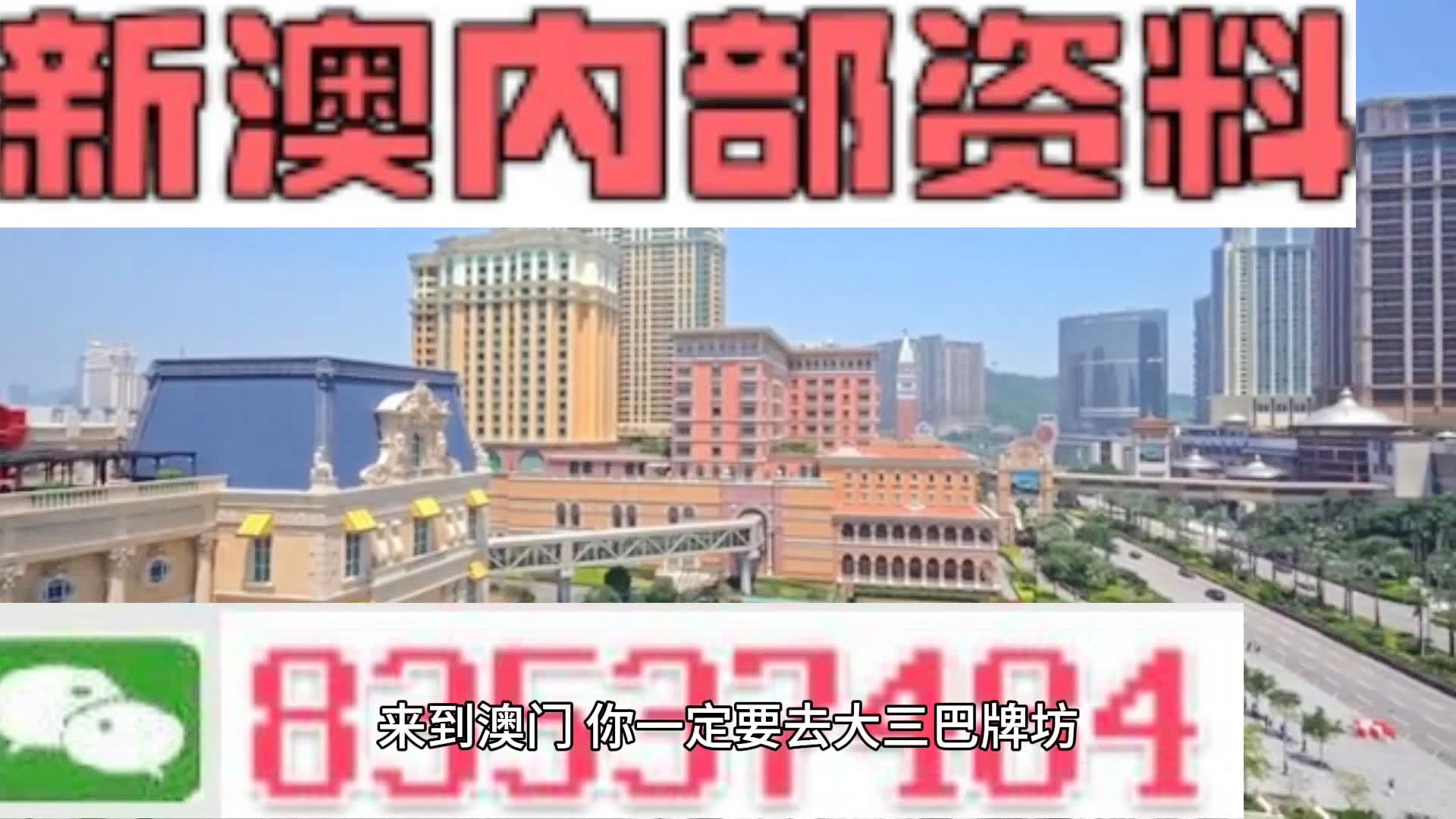 關于新澳精準資料大全的探討與警示——警惕違法犯罪風險，警惕新澳精準資料的風險，探討與警示——預防違法犯罪風險