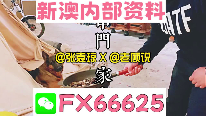 管家婆免費資料大全公開，探索與解析，管家婆免費資料大全揭秘，探索與解析