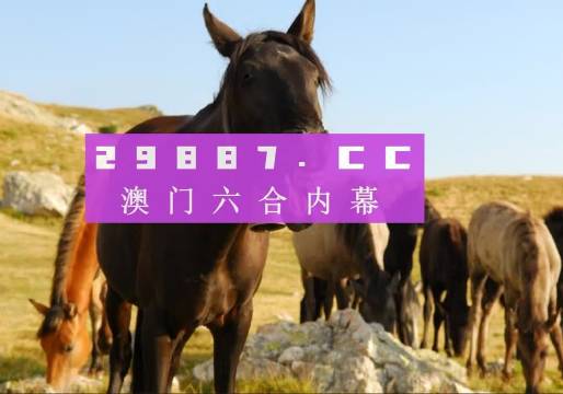 澳門管家婆免費(fèi)資料查詢系統(tǒng)，探索與解析（2024版），澳門管家婆免費(fèi)資料查詢系統(tǒng)解析（最新2024版）