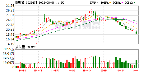 埃斯頓股票，投資潛力與市場(chǎng)前景分析，埃斯頓股票，投資潛力與市場(chǎng)前景深度解析