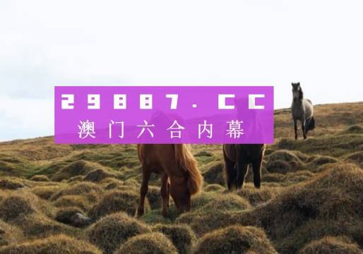 澳門六開獎(jiǎng)結(jié)果查詢——輕松掌握最新開獎(jiǎng)動(dòng)態(tài)，澳門六開獎(jiǎng)結(jié)果查詢，實(shí)時(shí)掌握最新開獎(jiǎng)信息