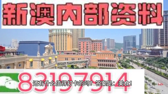 關于新澳精準正版資料的探討與警示——警惕違法犯罪風險，關于新澳精準正版資料的探討，警惕違法犯罪風險警示