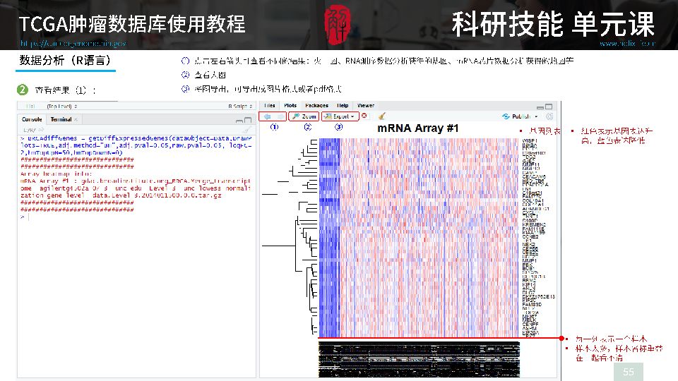 澳門(mén)玄機(jī)子14918,數(shù)據(jù)驅(qū)動(dòng)執(zhí)行方案_GM版97.797