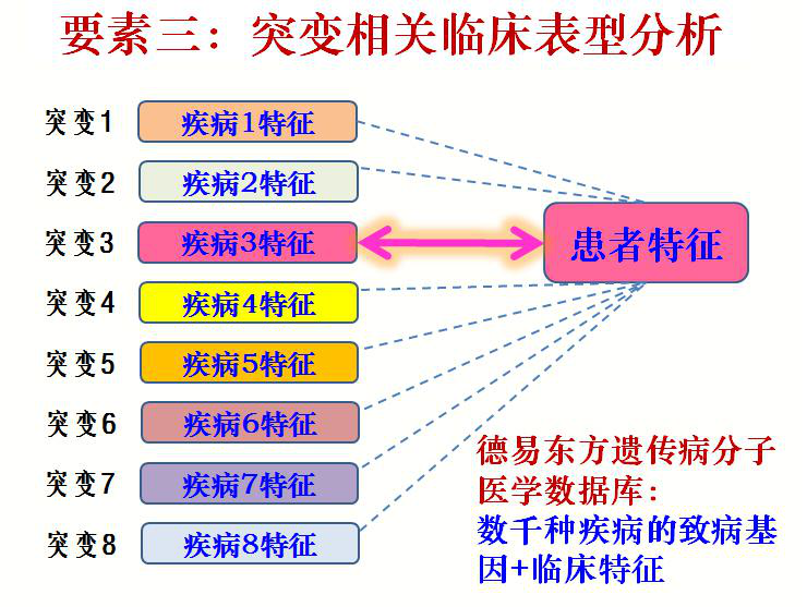 臺塑石化倒閉原因分析，臺塑石化倒閉原因深度解析