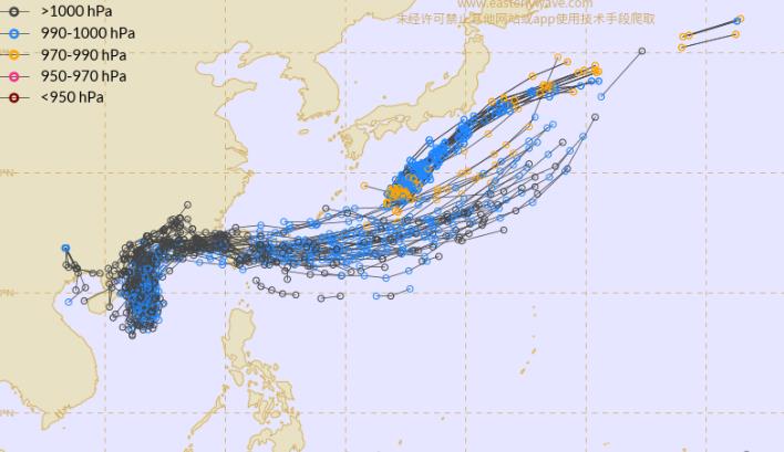 今年二號(hào)臺(tái)風(fēng)最新消息及其影響分析，今年二號(hào)臺(tái)風(fēng)最新動(dòng)態(tài)及其影響深度解析