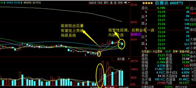 浙大網(wǎng)新為何不漲，深度探究與理性分析，浙大網(wǎng)新股價(jià)不漲背后的原因深度探究與理性分析