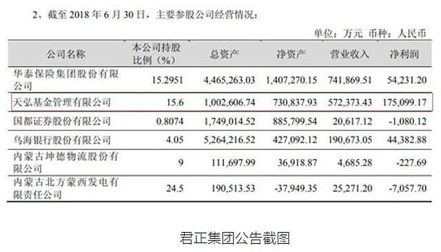 君正集團未來估值，展望與預測