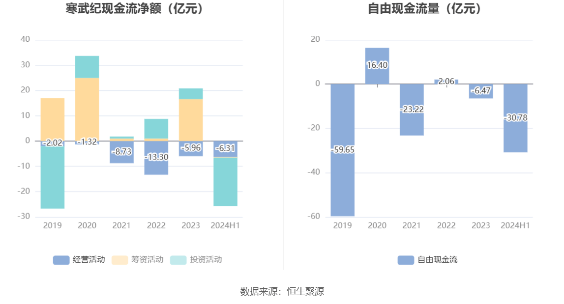 寒武紀(jì)2024年目標(biāo)價的深度解析與展望，寒武紀(jì)2024年目標(biāo)價的深度解析及展望，未來趨勢與市場預(yù)測