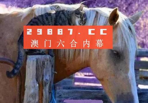 澳門必中一肖一碼四不像——揭開犯罪現(xiàn)象的神秘面紗，澳門犯罪現(xiàn)象揭秘，揭秘必中一肖一碼四不像的神秘面紗