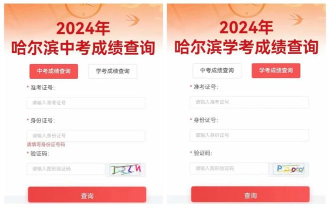 2024新澳最新開獎結(jié)果查詢——掌握彩票動態(tài)的必備指南，掌握彩票動態(tài)必備指南，2024新澳最新開獎結(jié)果查詢