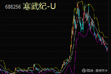 寒武紀(jì)重組最新消息，引領(lǐng)科技變革的新篇章，寒武紀(jì)重組引領(lǐng)科技變革新篇章，最新消息揭秘