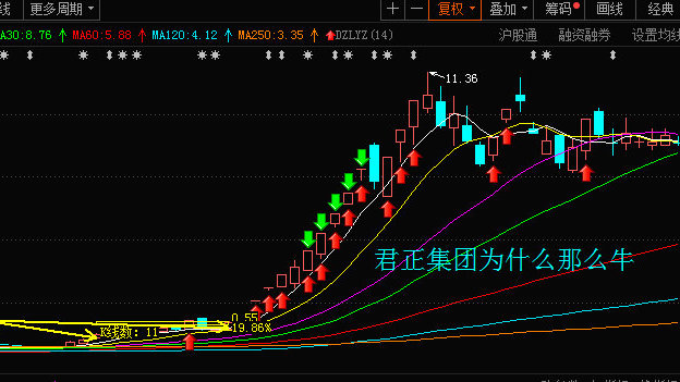 君正云通，一只10倍牛股的成長之路，君正云通，牛股成長之路揭秘，邁向十倍增長之路