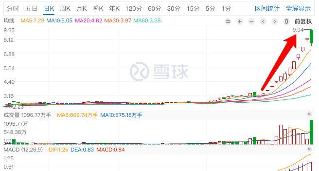 君正集團(tuán)，是妖股還是價(jià)值投資之選？，君正集團(tuán)，價(jià)值投資還是妖股之爭？