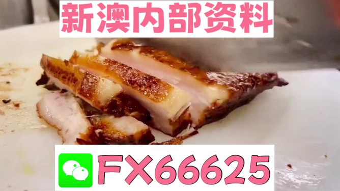 新奧長(zhǎng)期免費(fèi)資料大全，深度挖掘與探索，新奧長(zhǎng)期免費(fèi)資料深度挖掘與探索大全