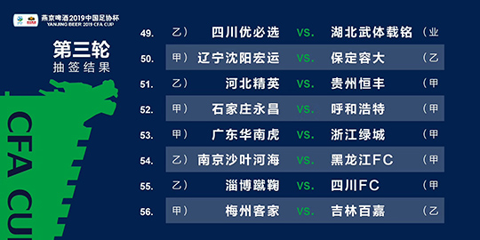 澳門一肖100準(zhǔn)免費(fèi)——揭示背后的違法犯罪問(wèn)題，澳門一肖100背后的違法犯罪問(wèn)題揭秘