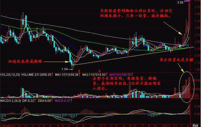 探尋未來之星，2025年有望翻十倍的潛力股票，探尋未來之星，潛力股票展望2025年十倍增長之路