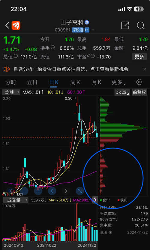 前景深度解析與未來展望