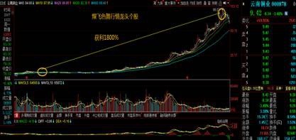 威爾泰股吧，探索企業(yè)潛力與機(jī)遇的舞臺(tái)，威爾泰股吧，企業(yè)潛力與機(jī)遇的探索舞臺(tái)