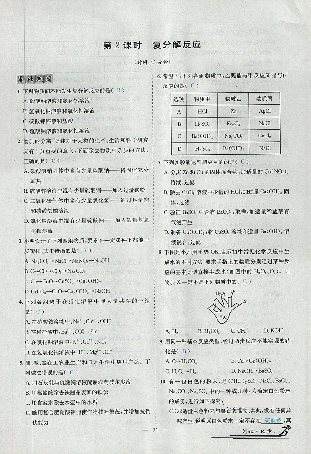 2024新奧免費(fèi)資料,最新答案解析說明_WP版31.146