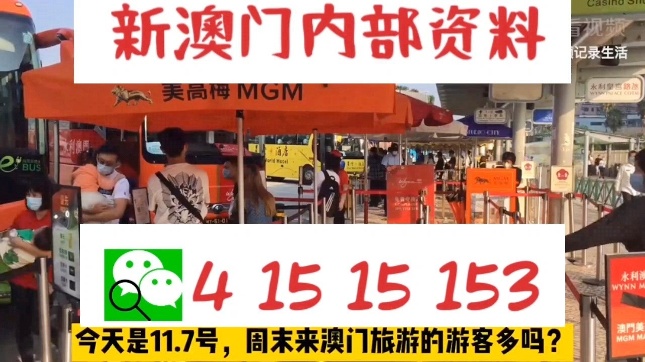 關于新澳門資料大全及家野中特的探討——警惕違法犯罪風險，澳門資料大全及家野中特探討，警惕潛在違法犯罪風險