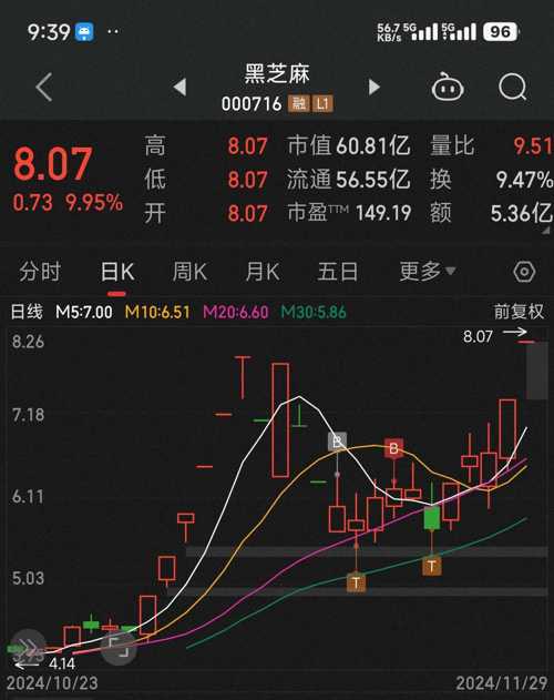 黑芝麻股票，未來能否攀升至20元？，黑芝麻股票未來走勢預測，能否沖破20元大關？