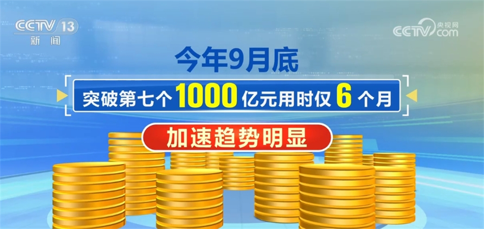 關于新澳2024年精準一肖一碼，一個關于違法犯罪問題的探討，關于新澳2024年精準一肖一碼，違法犯罪問題的探討與警示