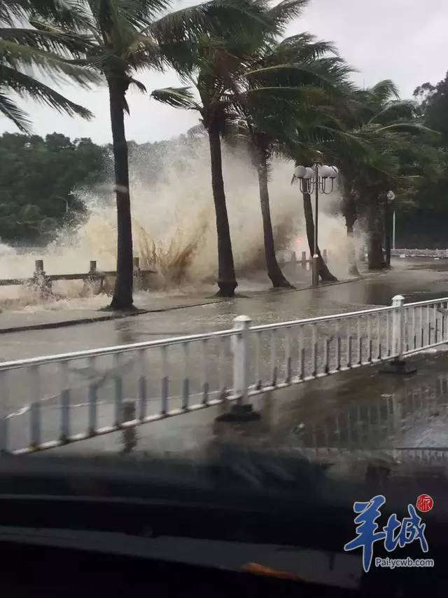 珠海臺風動態(tài)分析