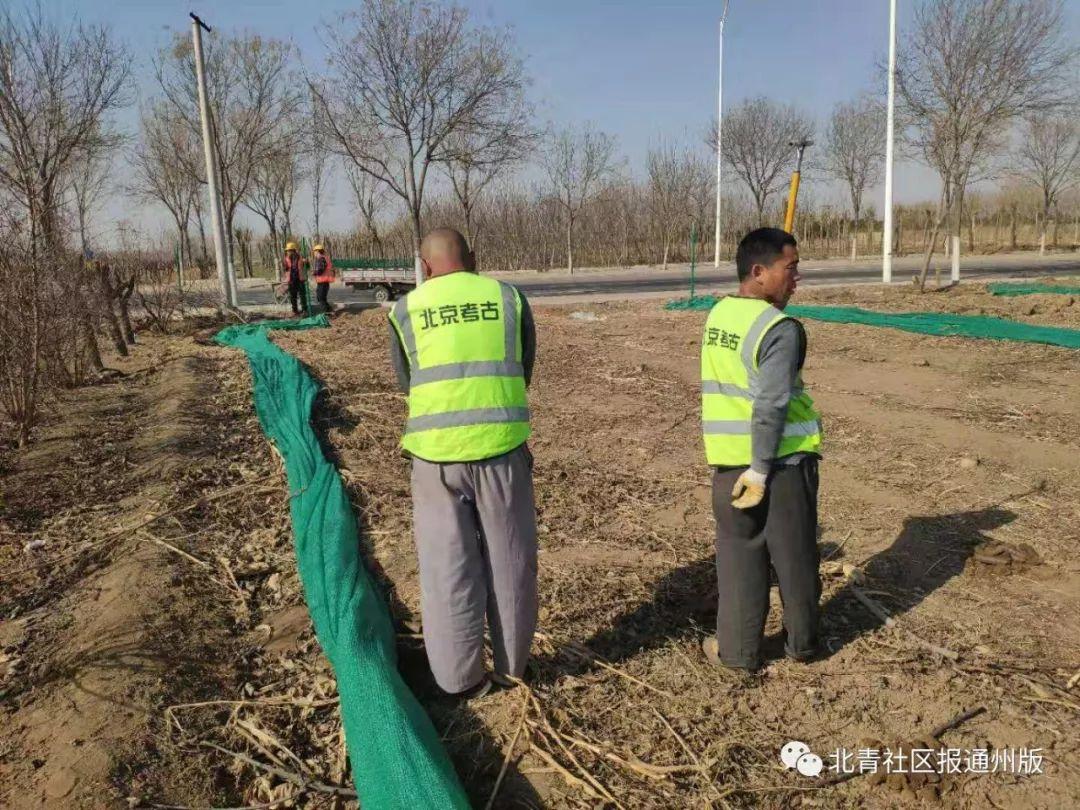 漷縣最新規(guī)劃，塑造未來城市的藍(lán)圖，漷縣未來城市藍(lán)圖，最新規(guī)劃揭秘