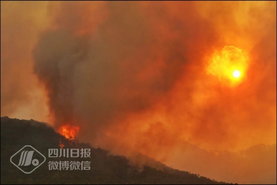 最新涼山大火