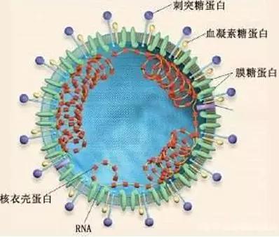 最新疫情新型肺炎