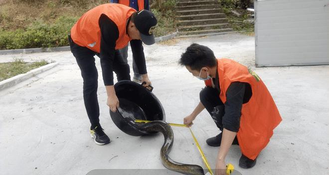 男子撞死二級保護(hù)動物被判賠1.5萬，法律對野生動物保護(hù)的警示，男子撞死二級保護(hù)動物獲判賠1.5萬，法律對野生動物保護(hù)的嚴(yán)肅警示