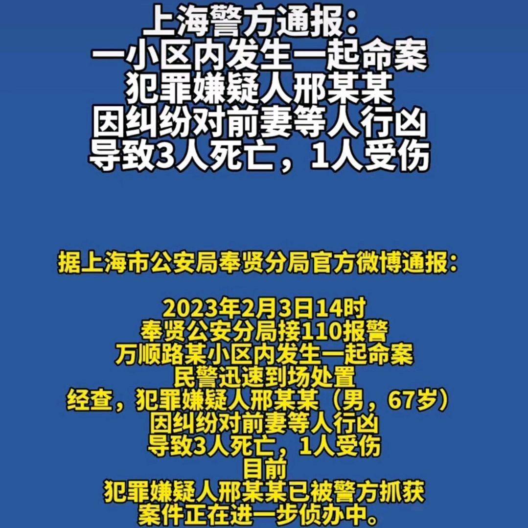 上海某小區(qū)發(fā)生刑案致一死，悲劇背后的警示與反思，上海小區(qū)刑案致一死，悲劇背后的警示與反思