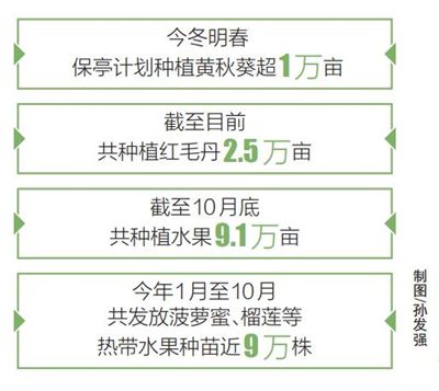 二肖四碼中特期期準(zhǔn)一肖