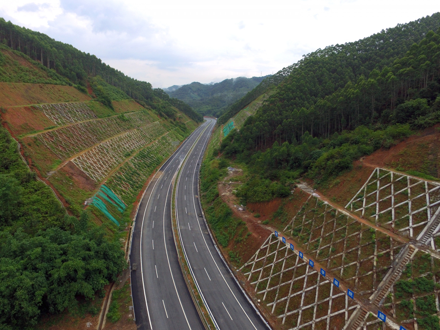 梧州最新道路