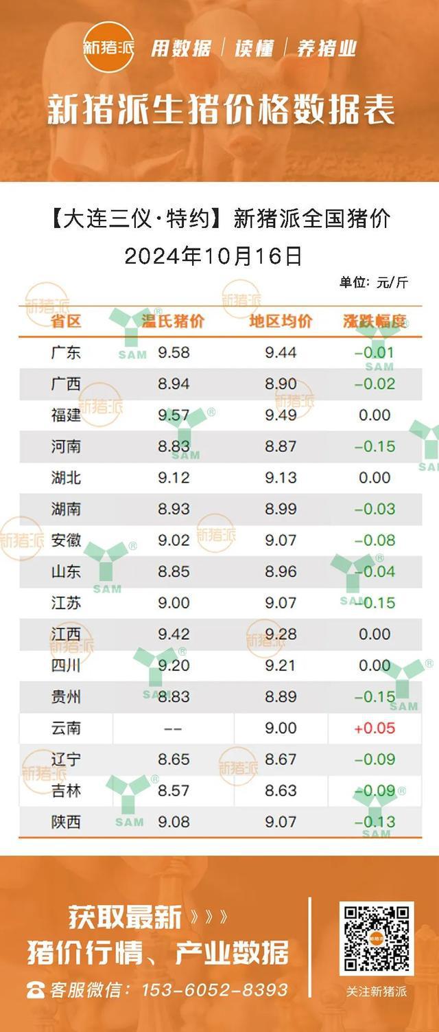 最新仔豬市場行情分析，最新仔豬市場行情深度解析