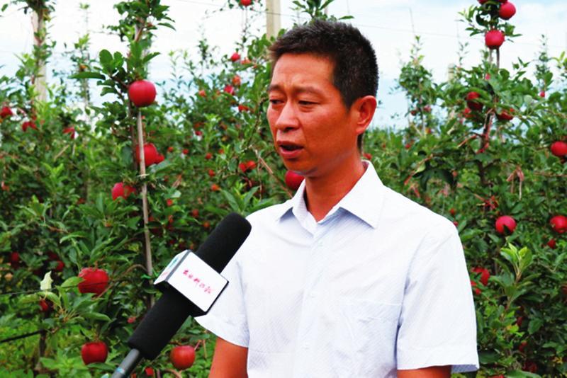 陜西蘋果產業(yè)轉型升級路徑研究，陜西蘋果產業(yè)轉型升級路徑探究